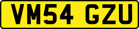 VM54GZU