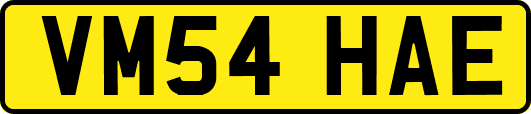 VM54HAE