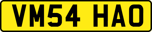 VM54HAO