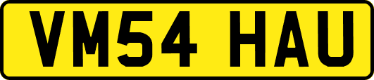 VM54HAU