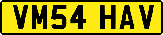 VM54HAV