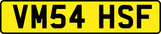 VM54HSF