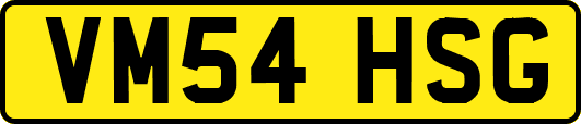 VM54HSG