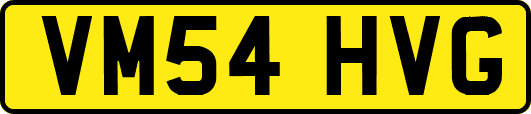 VM54HVG
