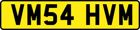 VM54HVM