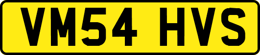 VM54HVS