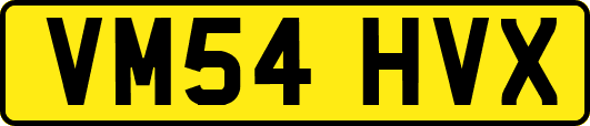 VM54HVX