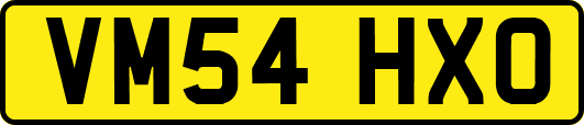 VM54HXO