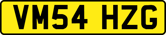 VM54HZG