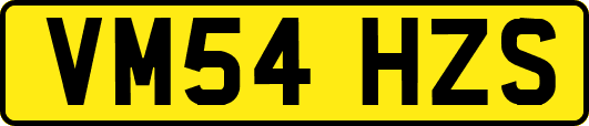 VM54HZS