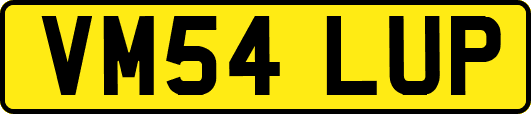 VM54LUP