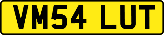 VM54LUT