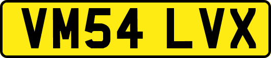 VM54LVX