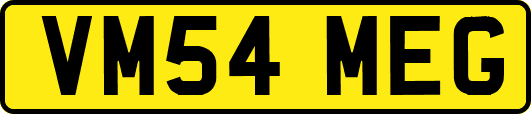 VM54MEG