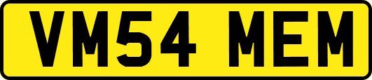 VM54MEM