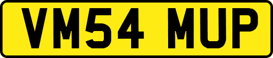 VM54MUP