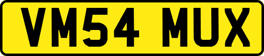 VM54MUX