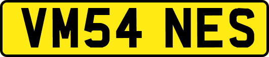 VM54NES