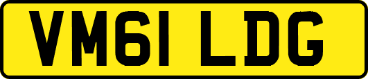 VM61LDG