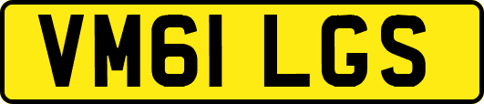 VM61LGS