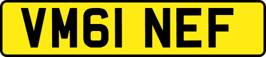 VM61NEF