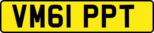 VM61PPT