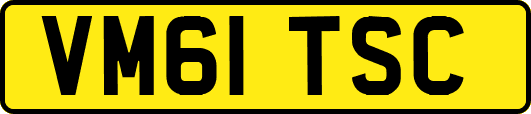 VM61TSC