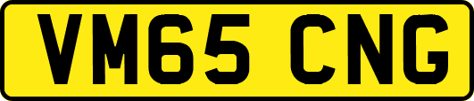VM65CNG