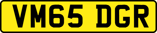 VM65DGR