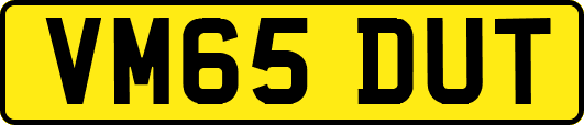 VM65DUT