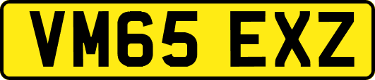 VM65EXZ