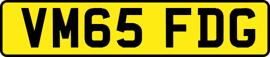 VM65FDG