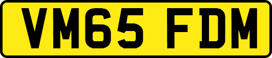 VM65FDM
