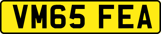 VM65FEA
