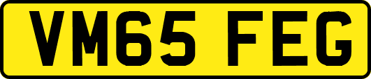 VM65FEG