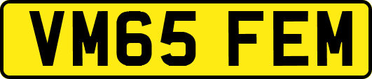 VM65FEM