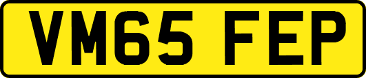 VM65FEP