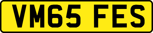 VM65FES