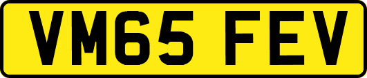 VM65FEV
