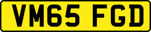 VM65FGD