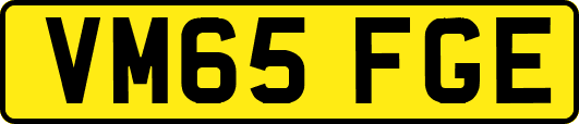 VM65FGE