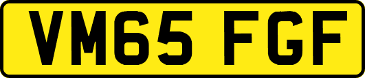 VM65FGF