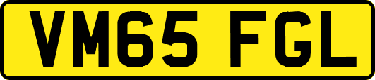 VM65FGL