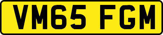 VM65FGM