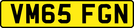 VM65FGN