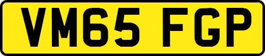 VM65FGP