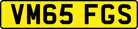 VM65FGS