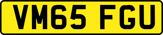 VM65FGU