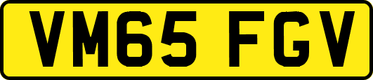 VM65FGV
