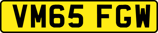 VM65FGW